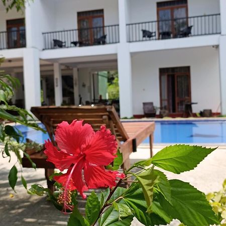 Amelia Resort Sigirija Zewnętrze zdjęcie