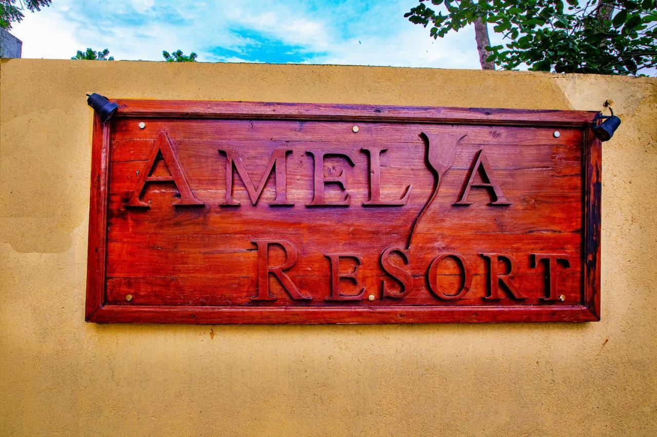 Amelia Resort Sigirija Zewnętrze zdjęcie