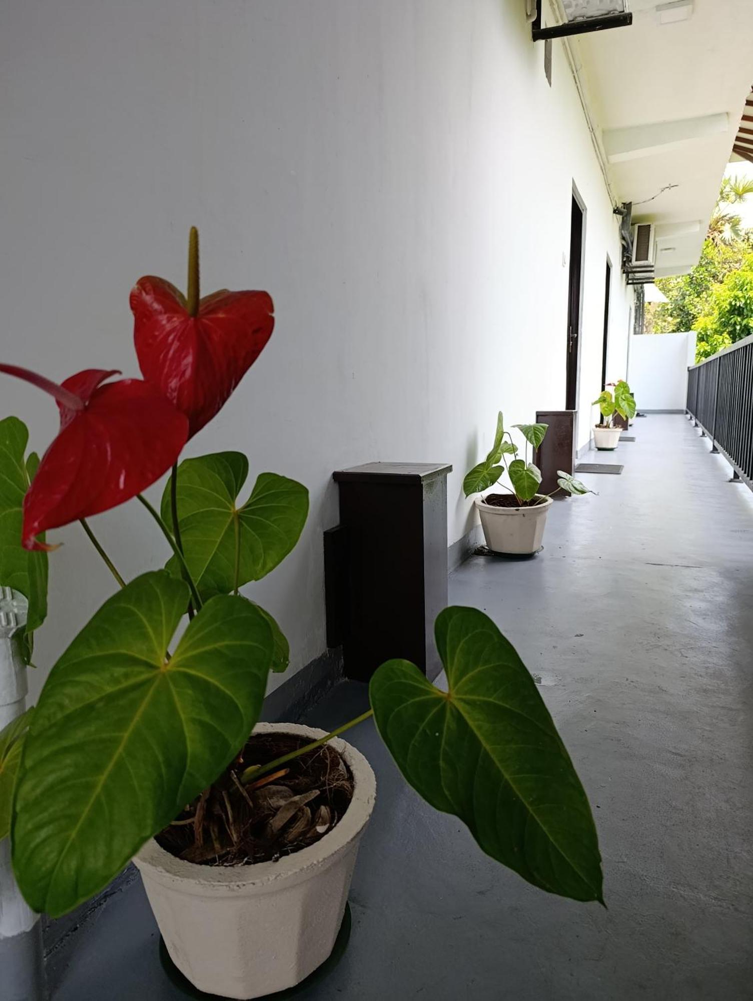 Amelia Resort Sigirija Zewnętrze zdjęcie