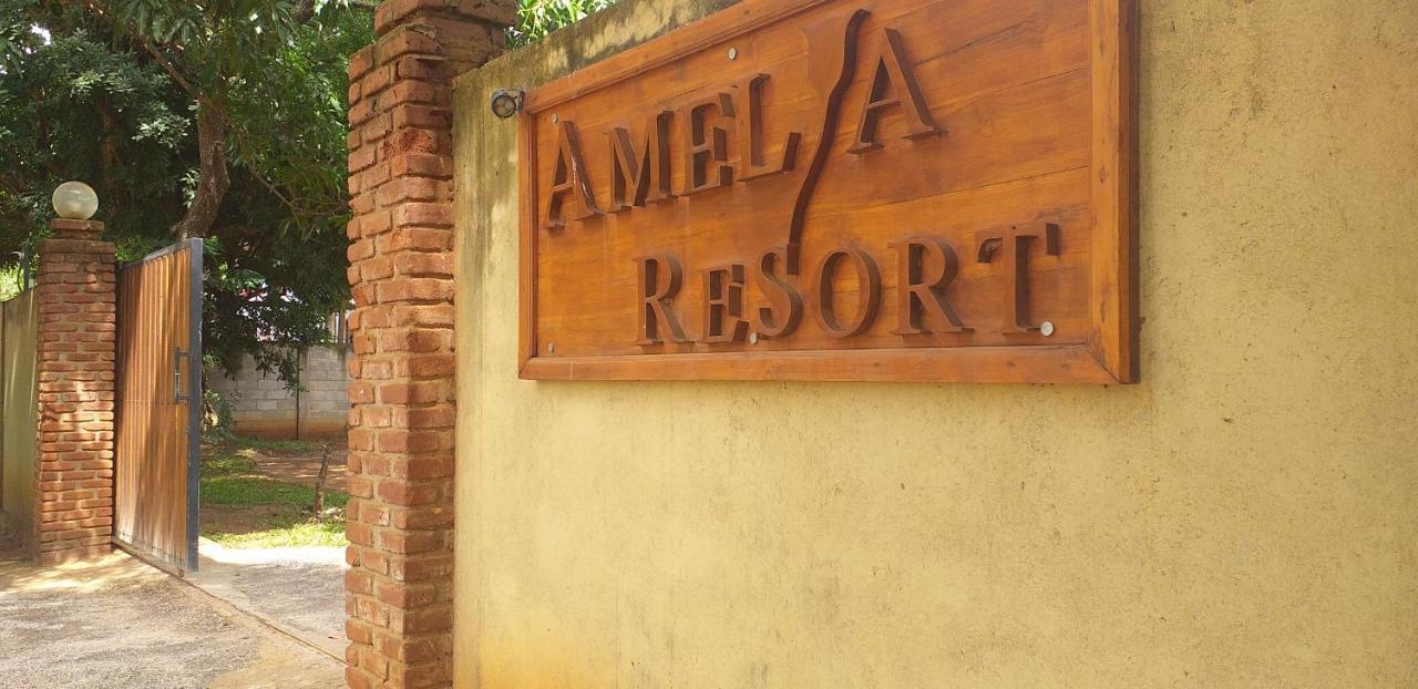 Amelia Resort Sigirija Zewnętrze zdjęcie